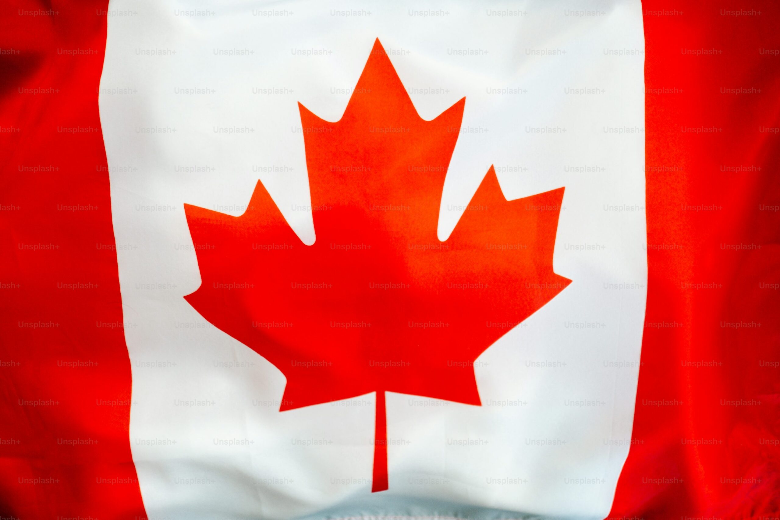 How to apply for scholarship in Canada